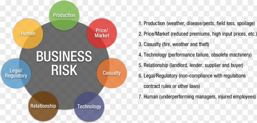 Business Risks Risk Management Financial Purdue University PNG