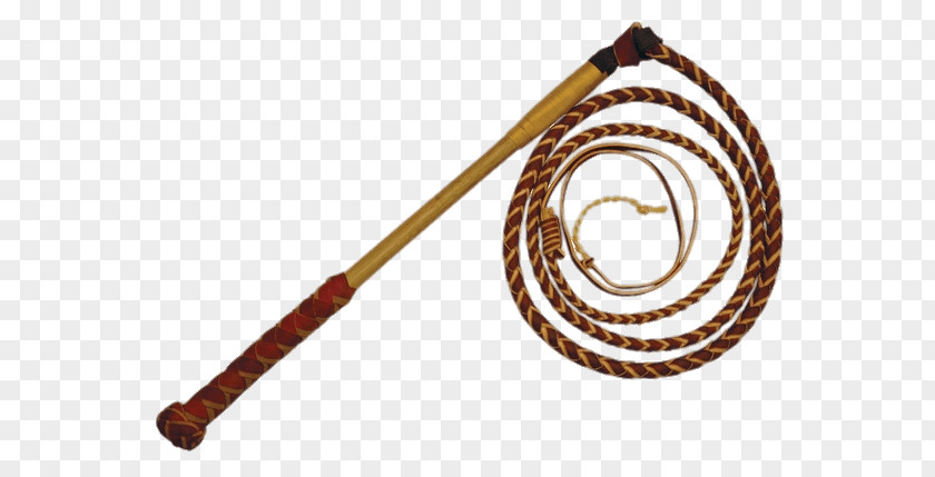 Horse Stockwhip Whipcracking Bullwhip PNG