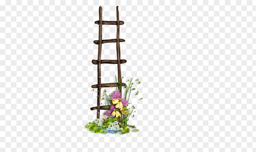 Long Wooden Ladder Albom Wood PNG