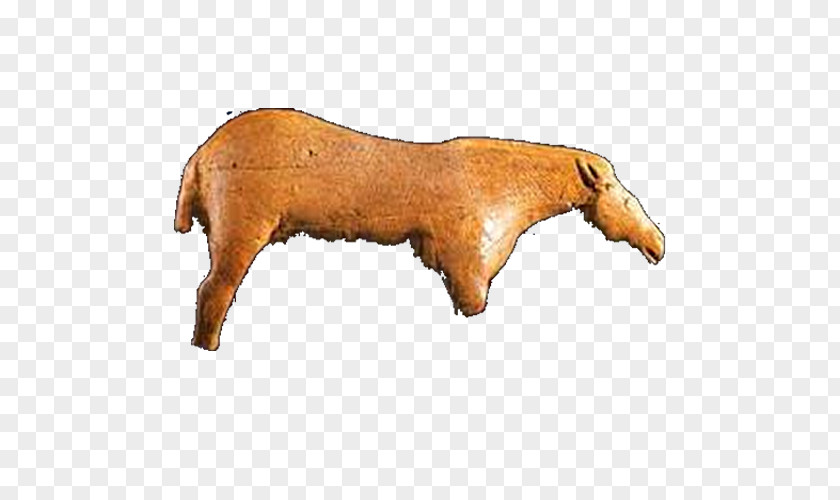 Mustang Cattle Snout Terrestrial Animal PNG