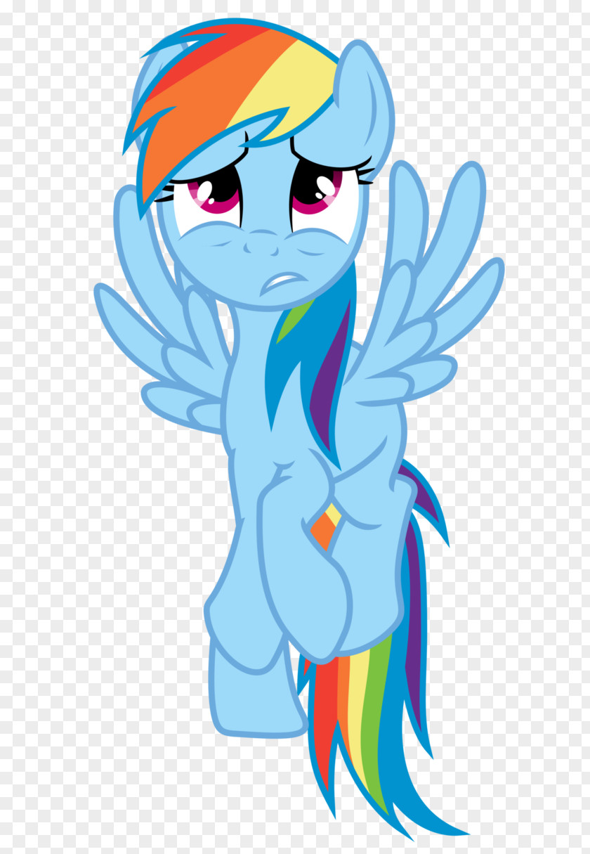 My Little Pony Rainbow Dash Fluttershy Shining Armor PNG