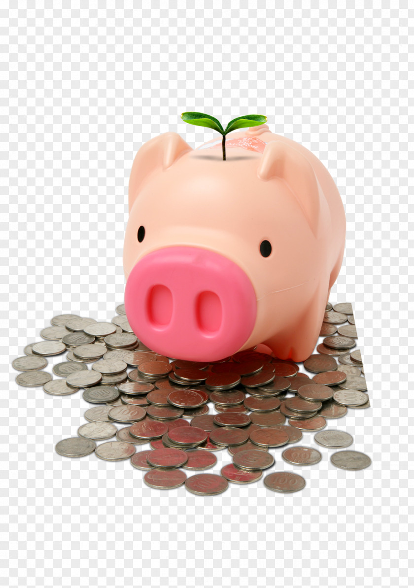 Piggy Bank Finance Money Insurance PNG