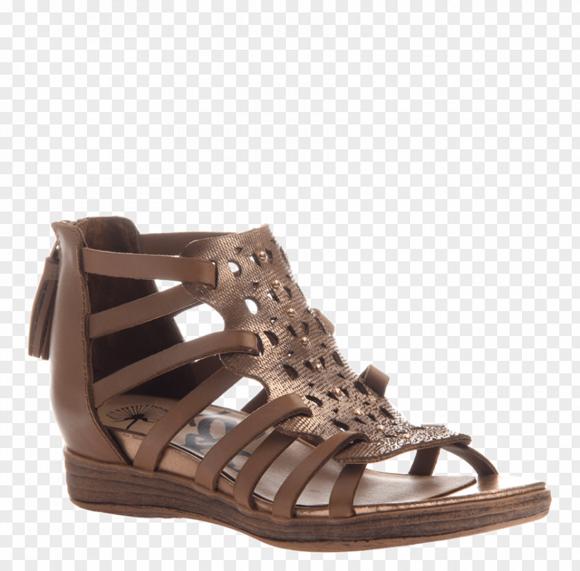Sandal High-heeled Shoe Wedge Fashion PNG