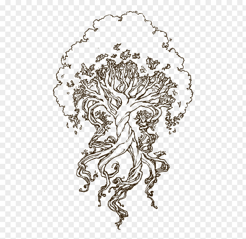 Tree Of Life Drawing Celtic Yggdrasil Sketch Coloring Book PNG