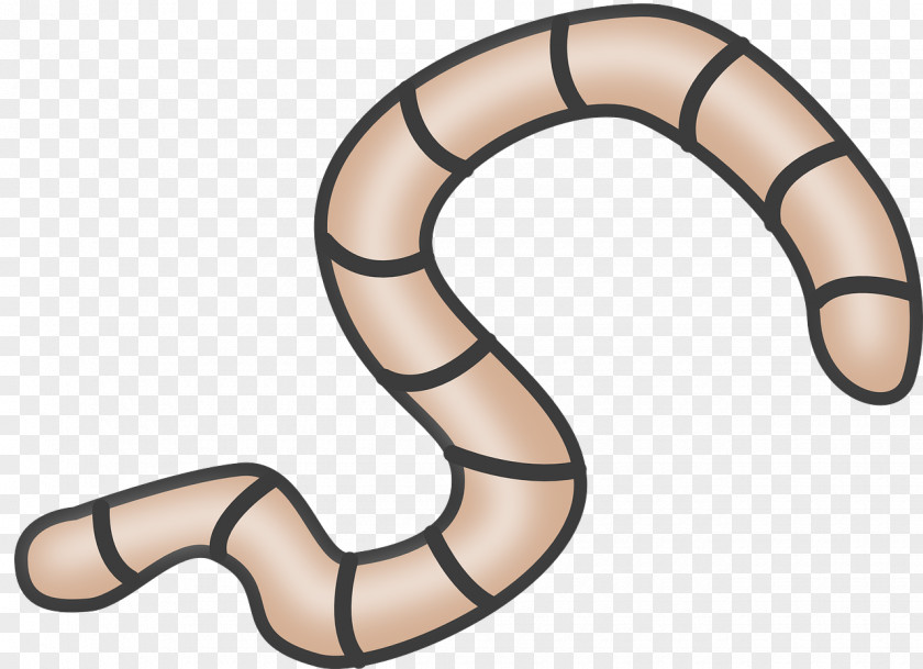 Worm Reptile Douchegordijn Clip Art PNG