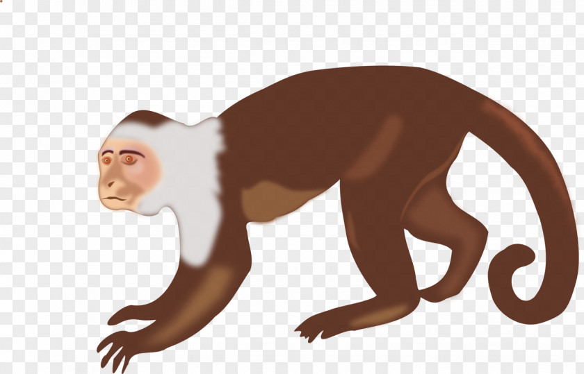 Brown Monkey Capuchin White-headed Spider Clip Art PNG