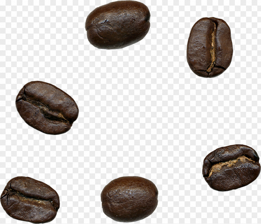 Coffee Beans Jamaican Blue Mountain Cafe PNG