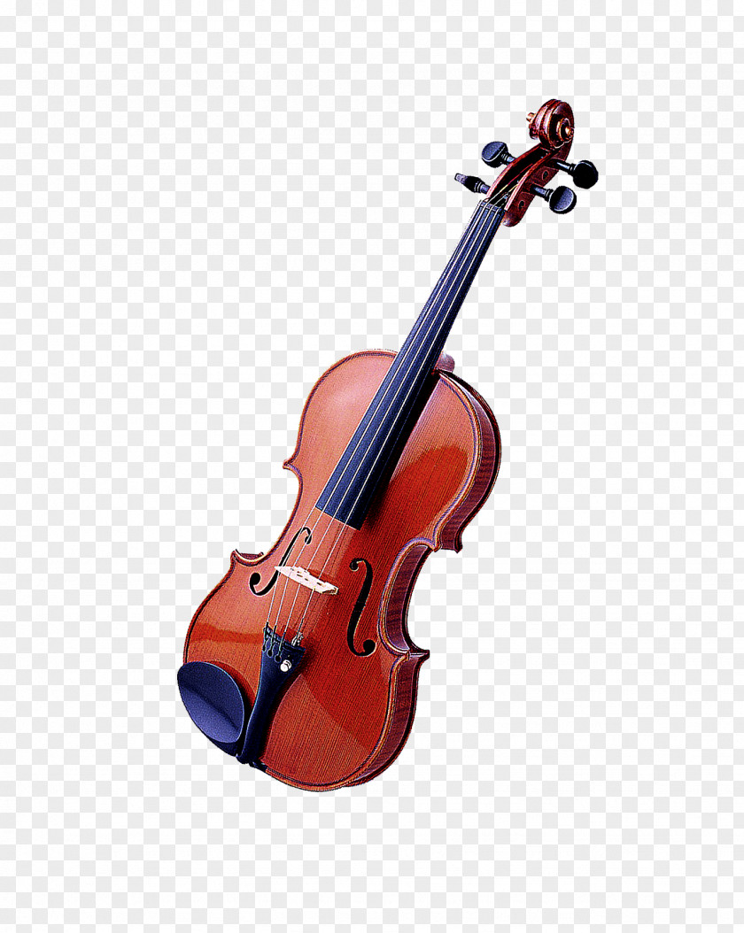 Creative Exquisite Mahogany Violin Bass For Kids: Christmas Carols, Classical Music, Nursery Rhymes, Traditional & Folk Songs! Viola PNG