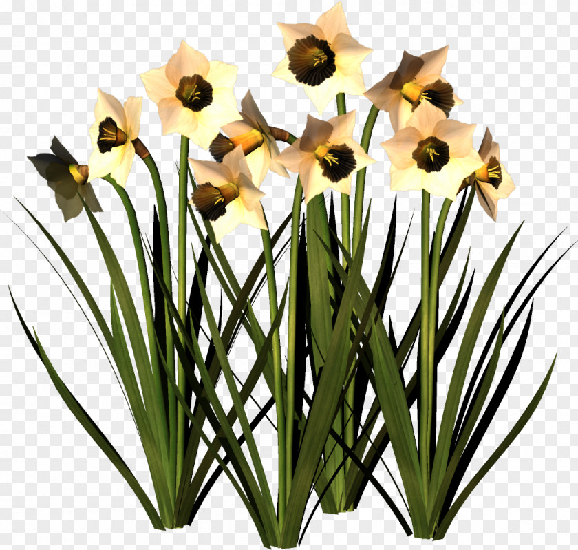 Cut Flowers Clip Art PNG