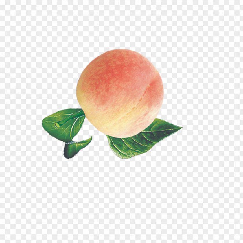 Fresh Peaches Download Wallpaper PNG