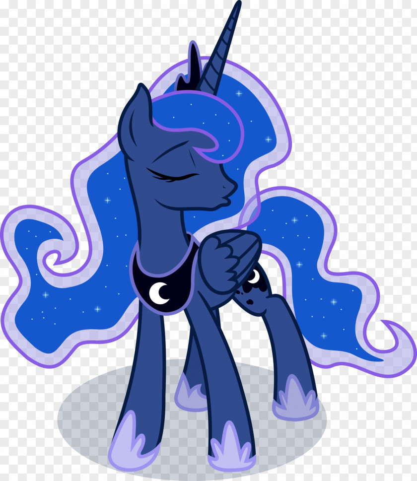 Mythbusters Vector Pony Princess Luna Celestia Winged Unicorn Rainbow Dash PNG