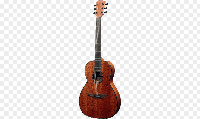 Acoustic Guitar C. F. Martin & Company Resonator Ukulele PNG