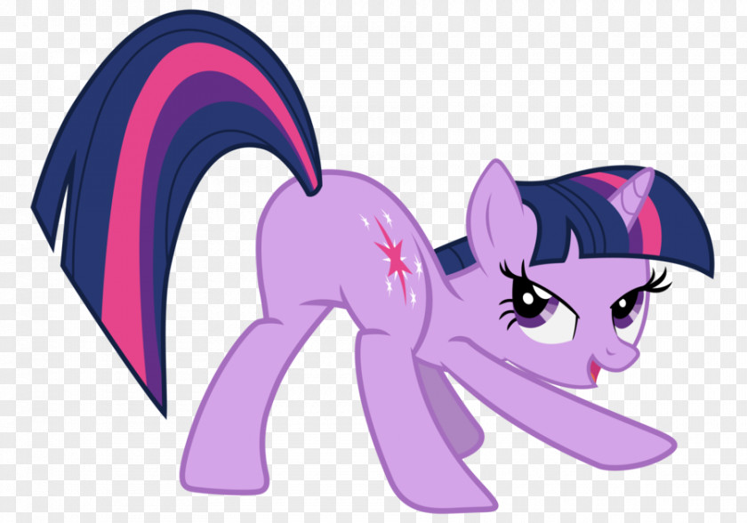 Cheering Twilight Sparkle Rainbow Dash Pony Rarity Applejack PNG