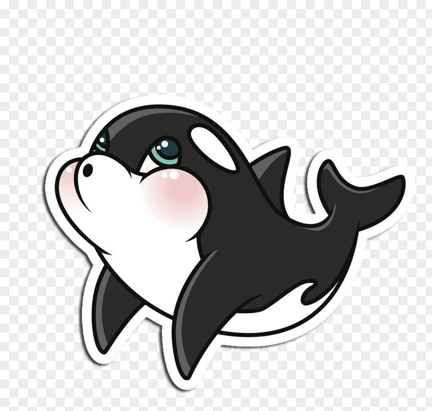 Cute Little Dolphin Arctic Killer Whale Illustration PNG