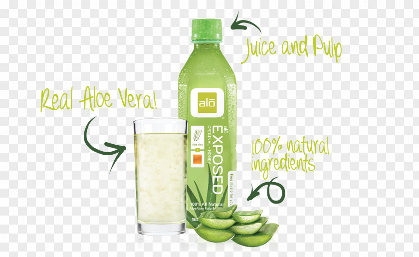 Drink Fruchtsaft Liqueur Jugo De Aloe Vera Juice Vesicles PNG