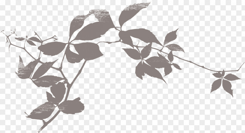 Foliage Silhouette Shadow Leaf PNG