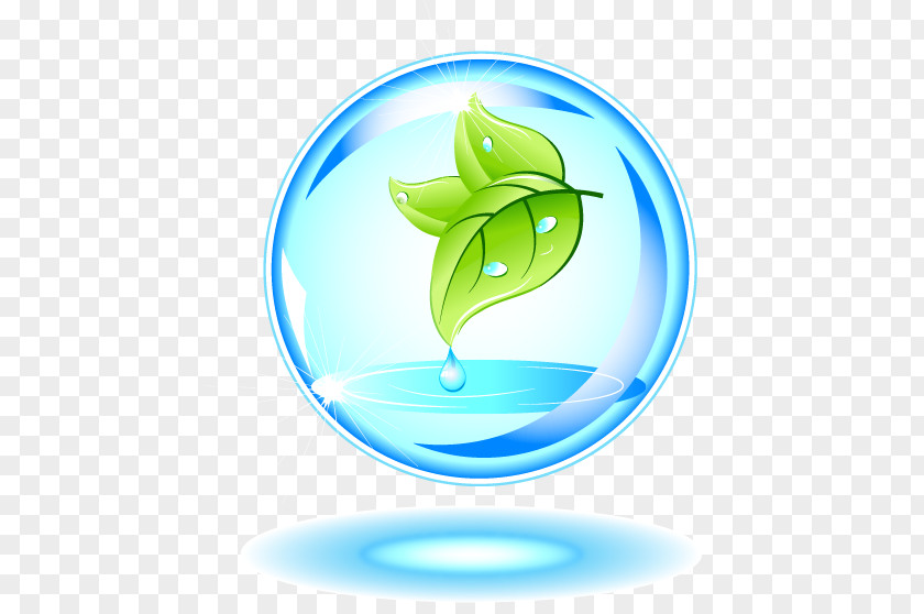 Water Drops In Green Leaves Nature Euclidean Vector Graphic Design PNG