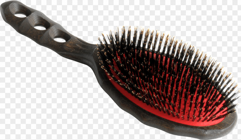 Air Brush Comb Bristle Hair Wild Boar PNG