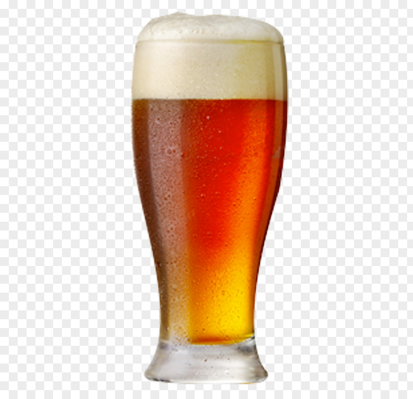 Beer Glasses Ale Lager Draught PNG