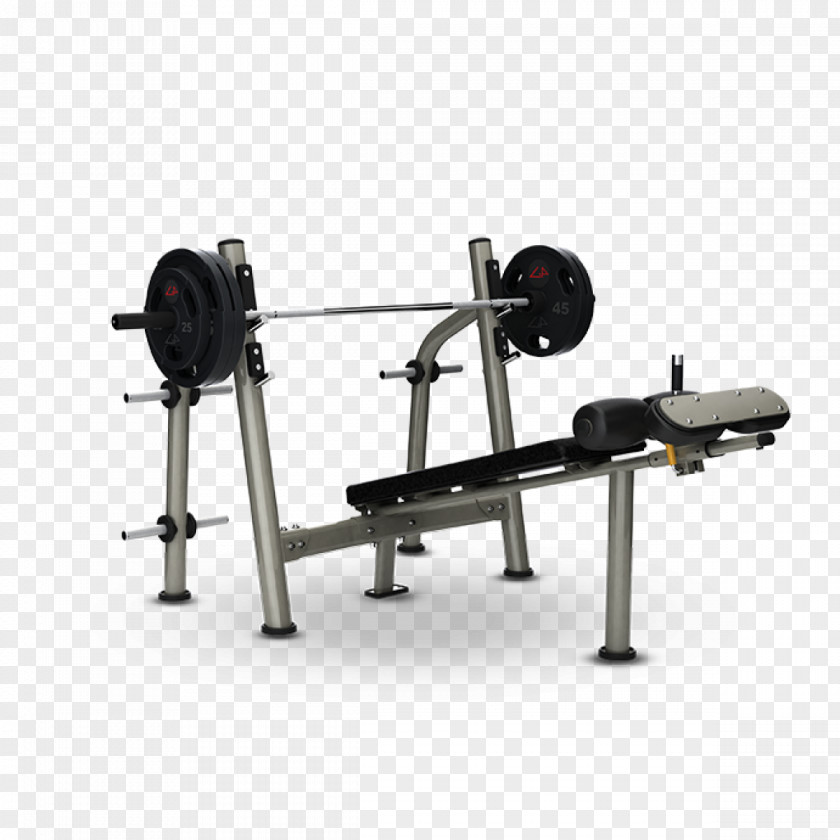 Bench Exercise Equipment Weight Training Physical Fitness Strength PNG