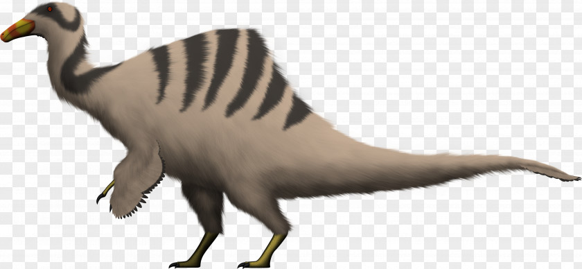 Dinosaur Deinocheirus Edmontosaurus Hadrosaurus Late Cretaceous PNG