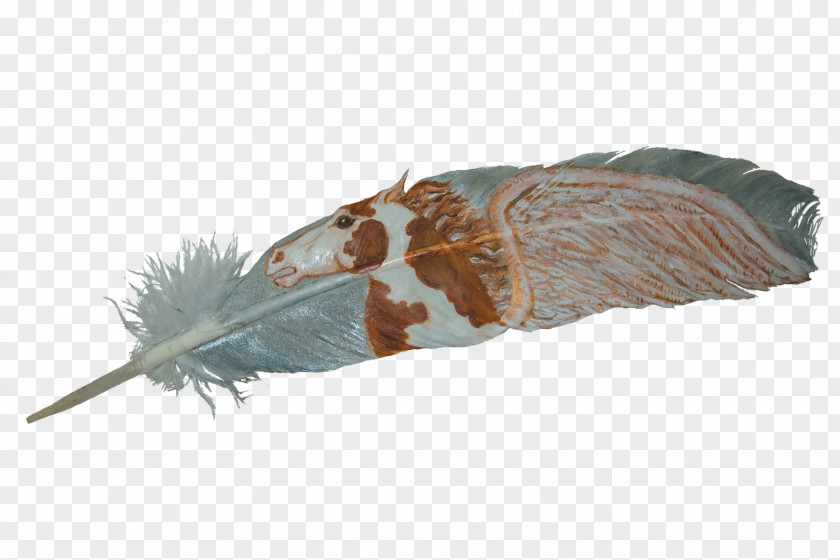 Feather Eagle Law Owl Adobe Photoshop PNG