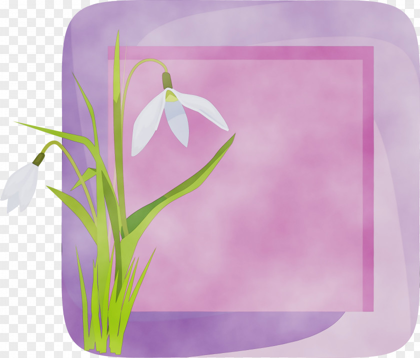 Lavender PNG