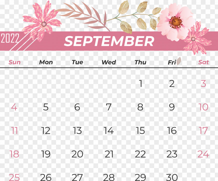 Line Font Calendar Number Pink M PNG