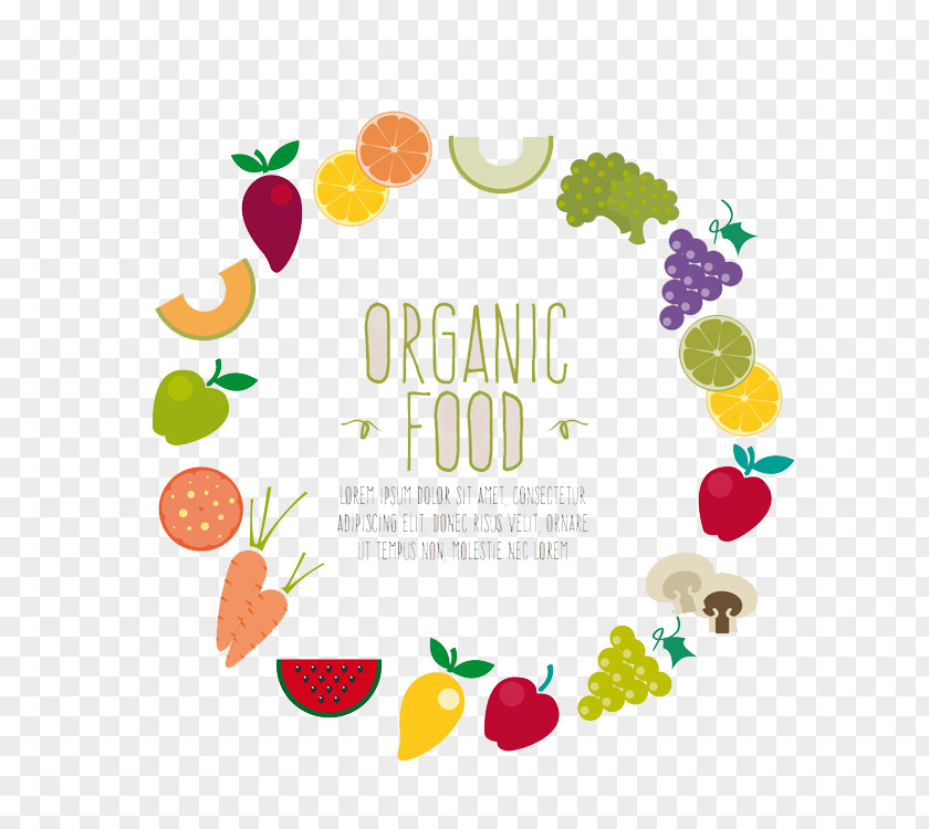 Round Decorative Vegetable Summary Organic Food Health PNG