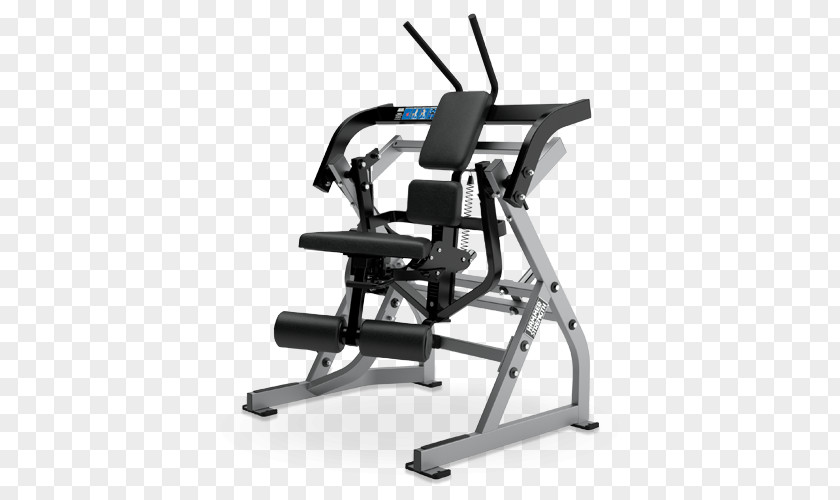 Abdominal Movement Kishwaukee Family YMCA External Oblique Muscle Crunch Strength Training Abdomen PNG