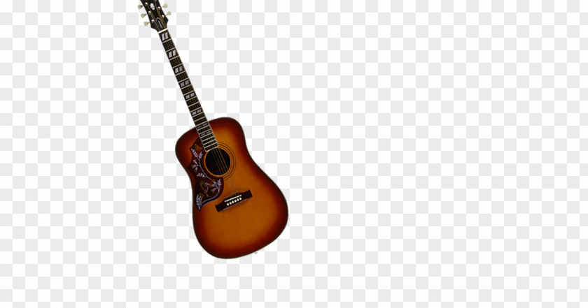 Instrument Musical Instruments Acoustic Guitar String Bass PNG
