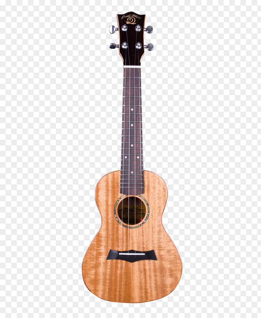 Musical Instruments Ukulele String Fingerboard Guitar PNG