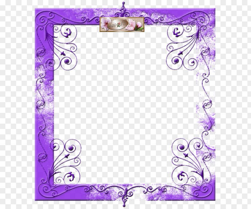 Purple Picture Frames Photography Film Frame PNG