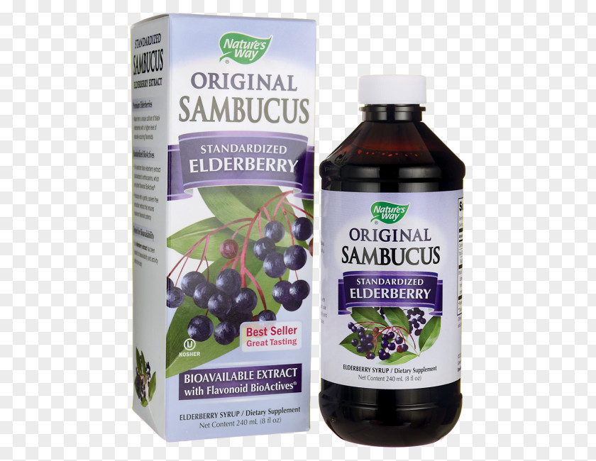 Elderberries Elder Immune System Nature Milliliter Syrup PNG