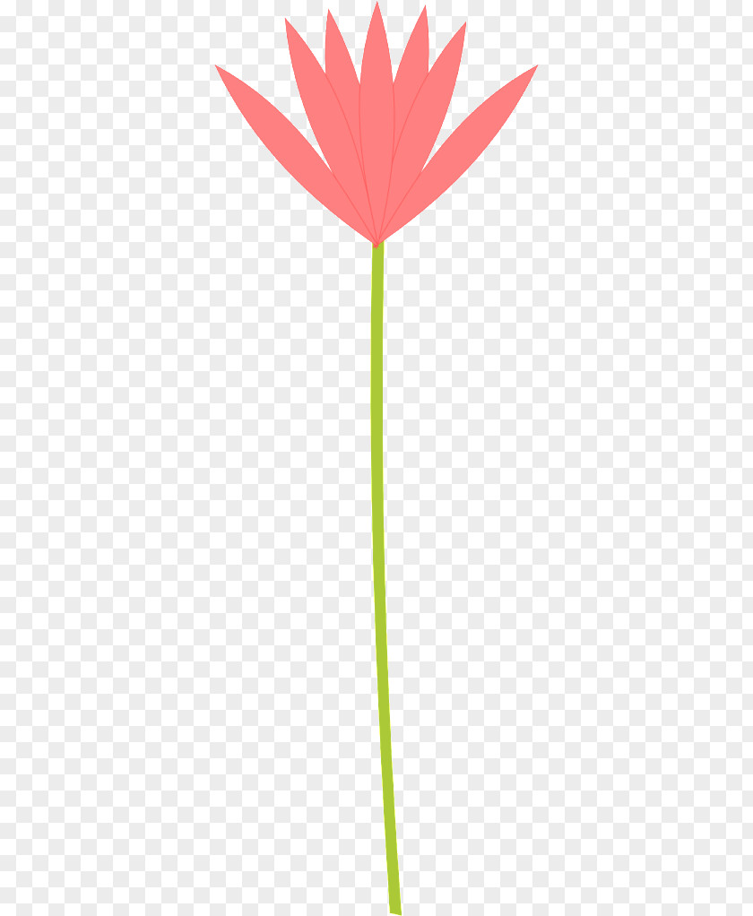 Flower Petal Clip Art PNG