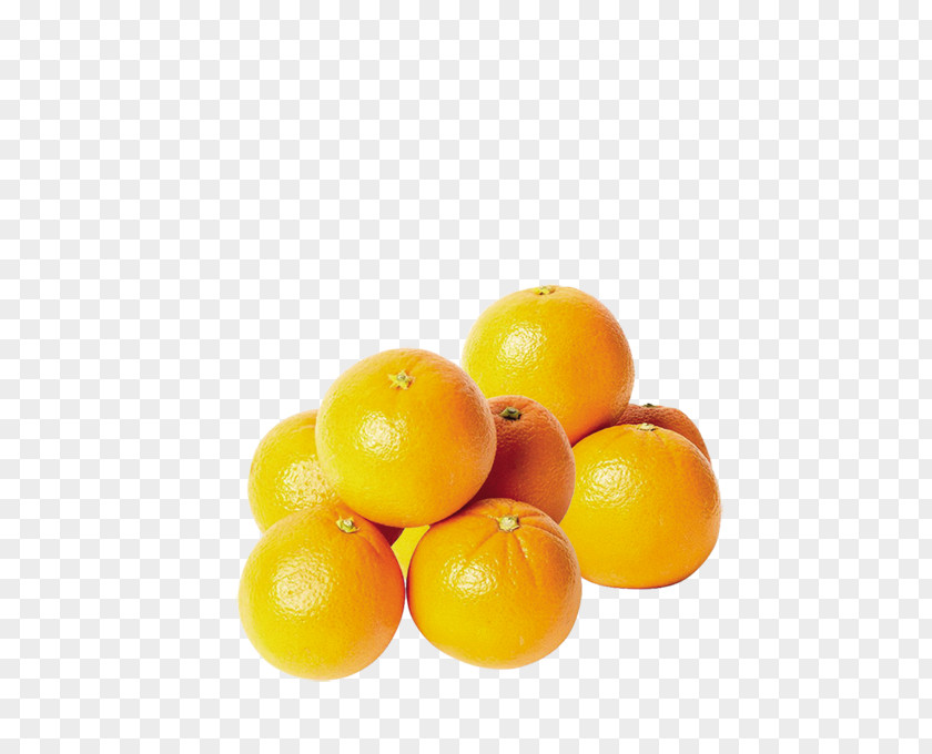 Orange Clementine Mandarin Tangelo Grapefruit Lemon PNG