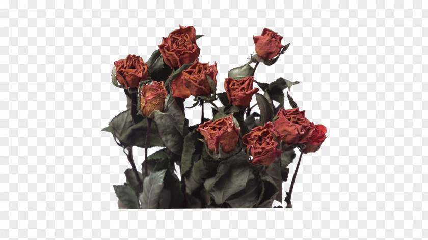 Rose Flower Bouquet Bag Petal PNG