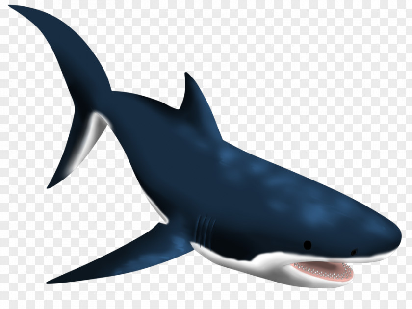 Shark Great White Requiem Sharks Marine Biology Mammal PNG