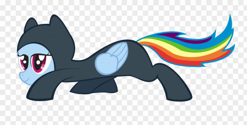 Dash Rainbow My Little Pony PNG