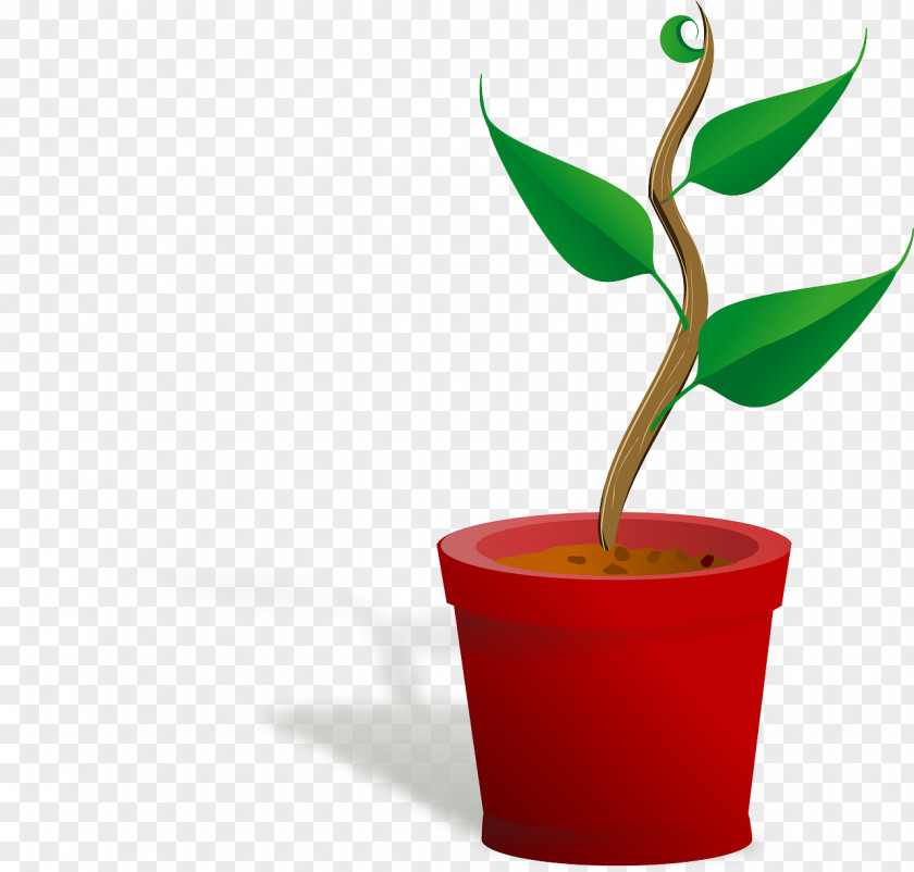 Plant Houseplant Clip Art PNG