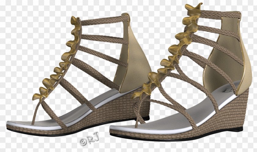 Sandal Shoe PNG