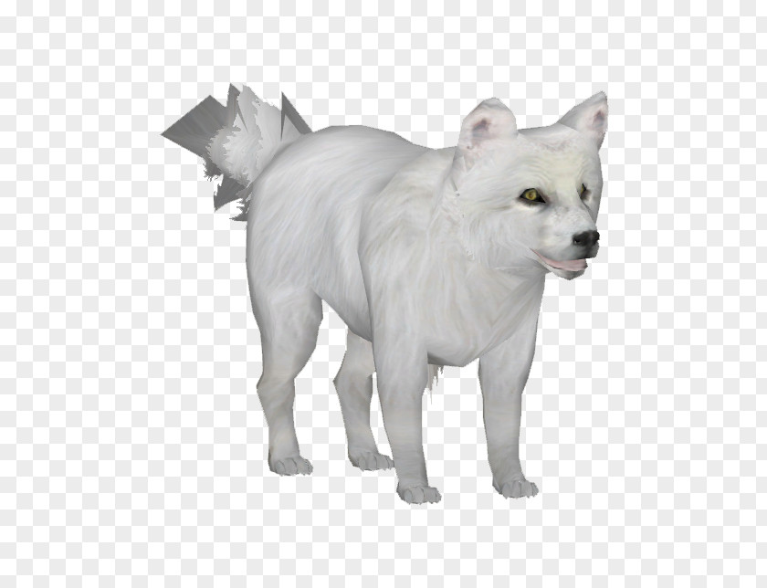 Arctic Fox Zoo Tycoon 2 Dog Wolf PNG