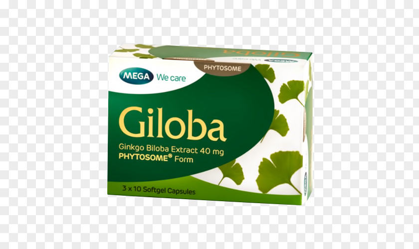 Health Ginkgo Biloba Capsule Dietary Supplement Extract Herb PNG