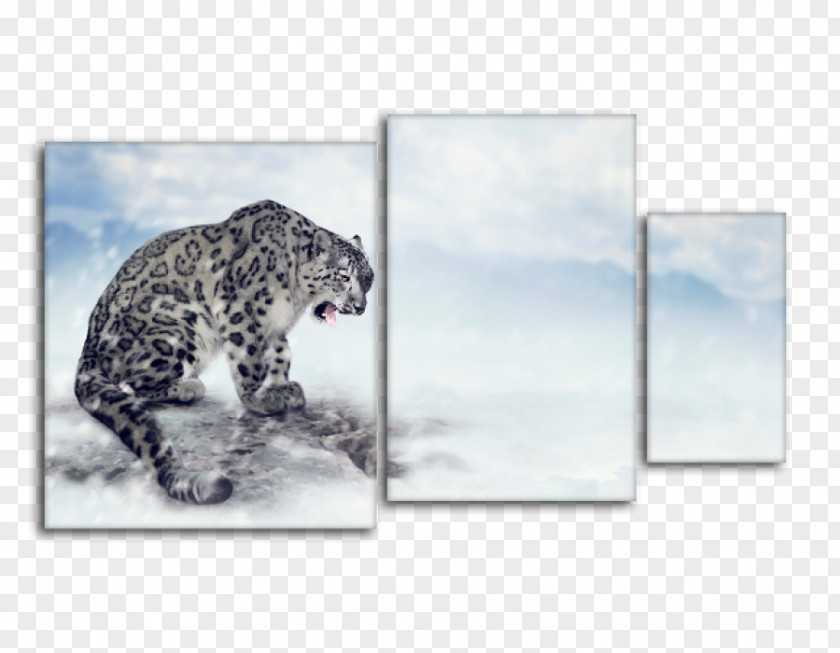 Leopard Snow Stock Photography Royalty-free PNG