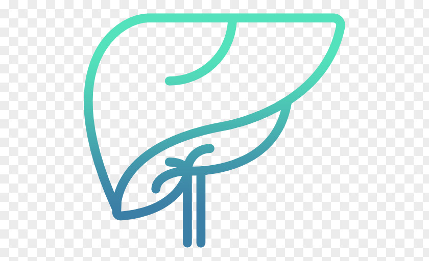 Liver Function Tests Medicine Physician Kidney PNG