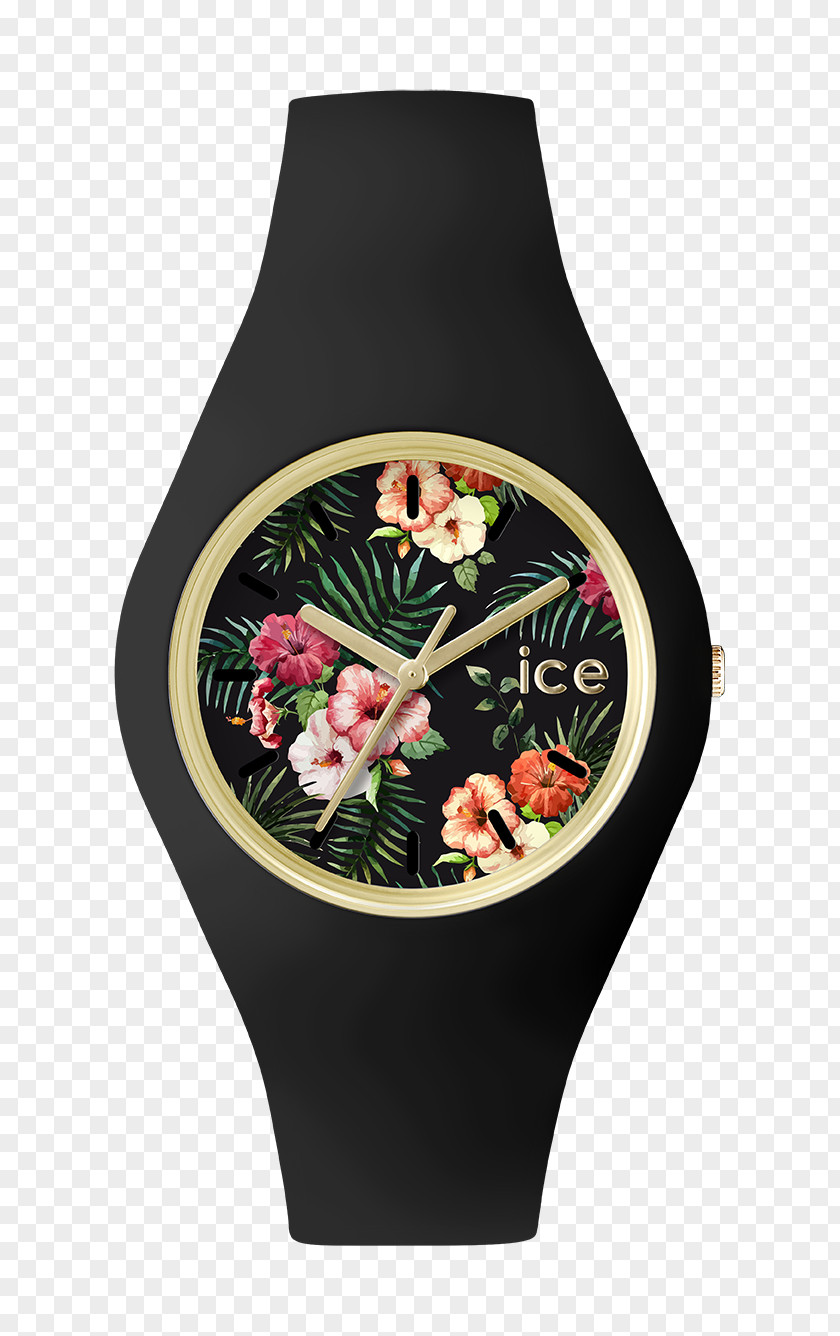 Watch Ice Flower Jewellery Analog PNG