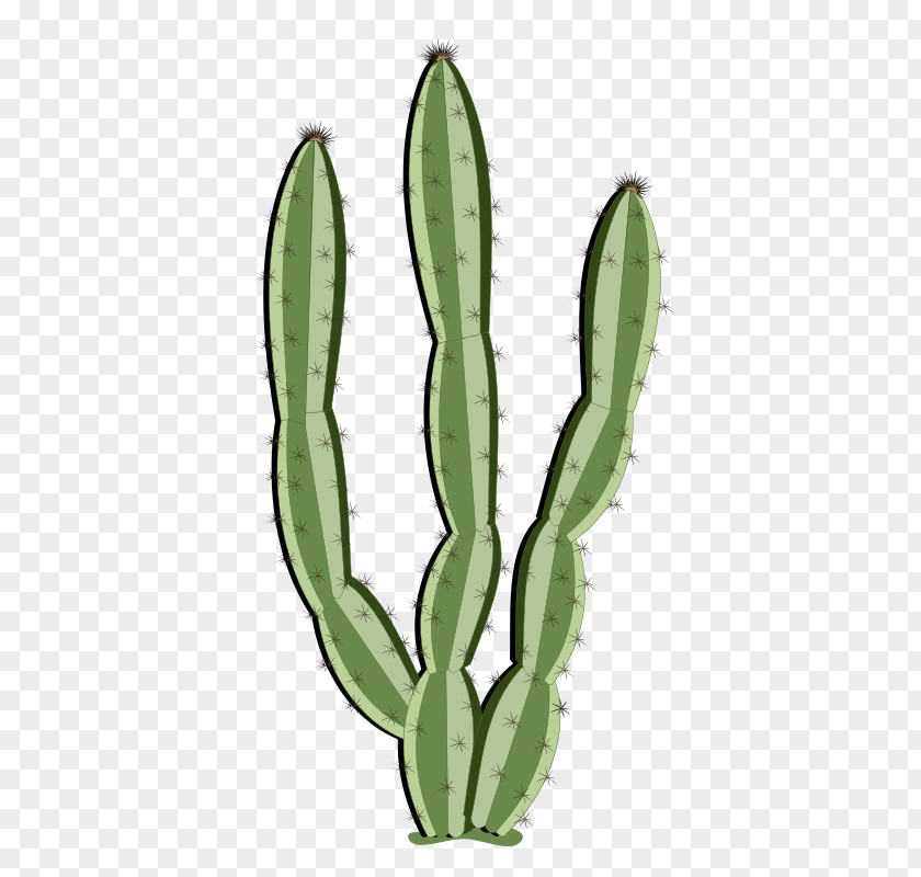 Gargoyle Clipart Cactaceae Public Domain Saguaro Clip Art PNG