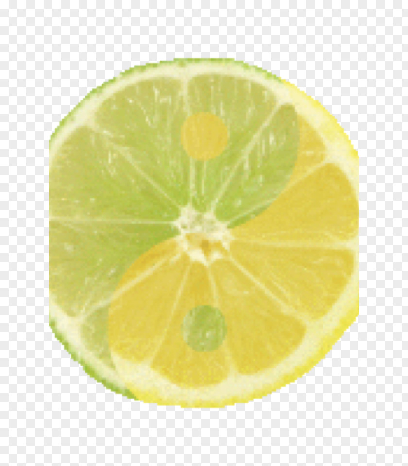 Lime Lemon-lime Drink Key Persian PNG