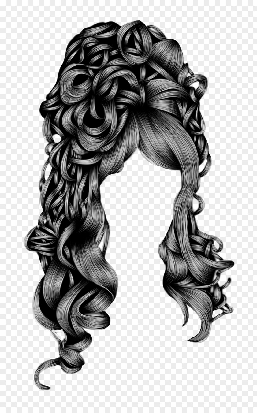 STYLE Hairstyle Image Editing Canities PNG