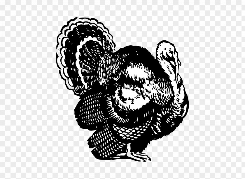 Turkey Meat Drawing Clip Art PNG